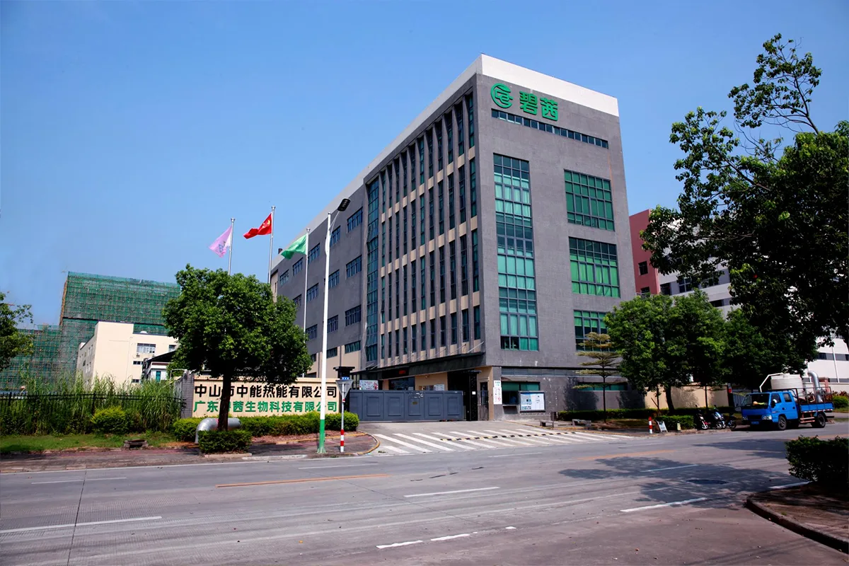 हमारे बारे में